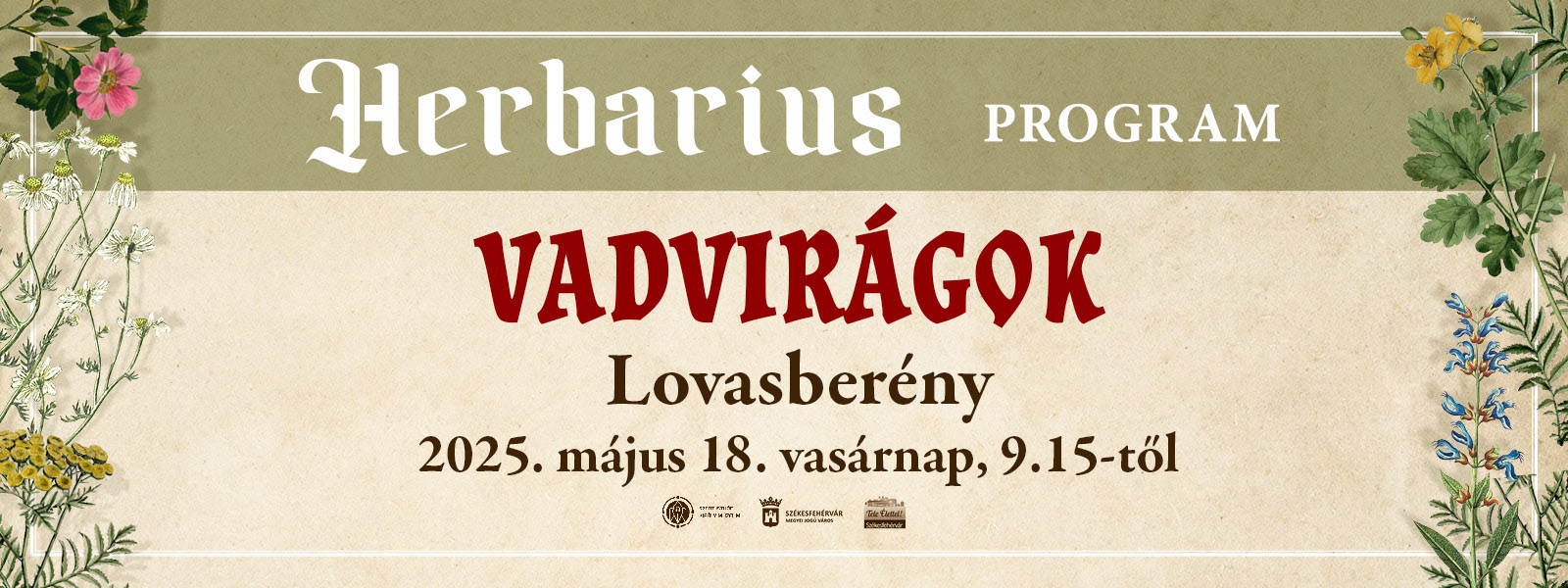 Vadvirágok – gyógynövénygyűjtő túra