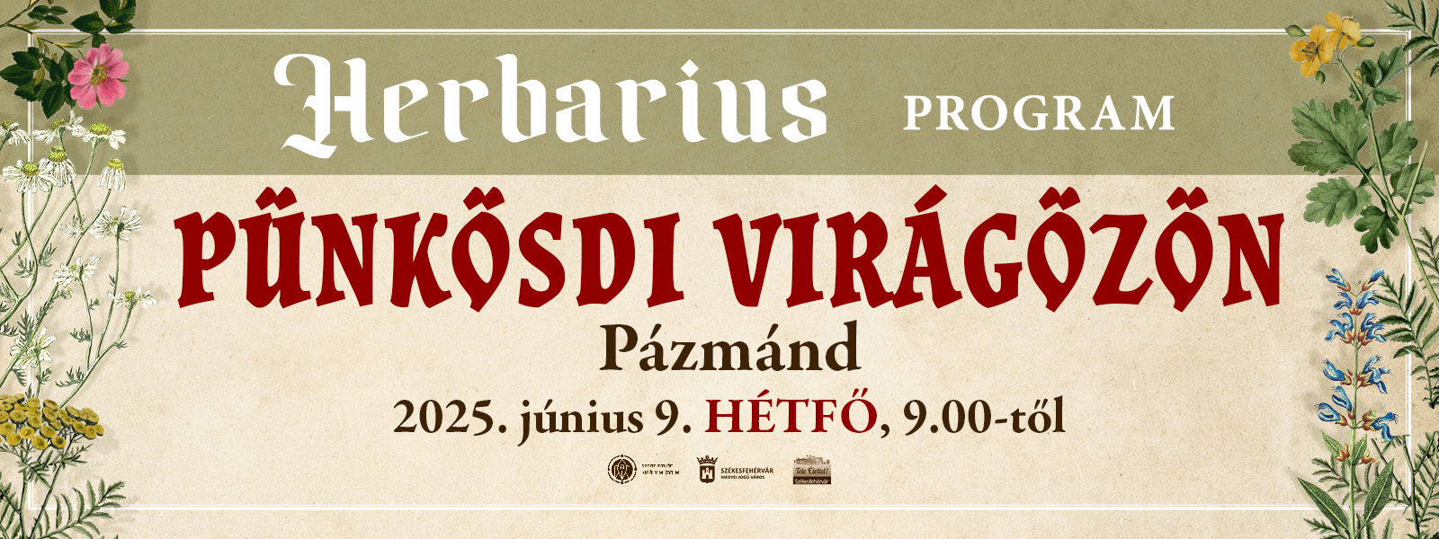 Pünkösdi virágözön - gyógynövénygyűjtő túra