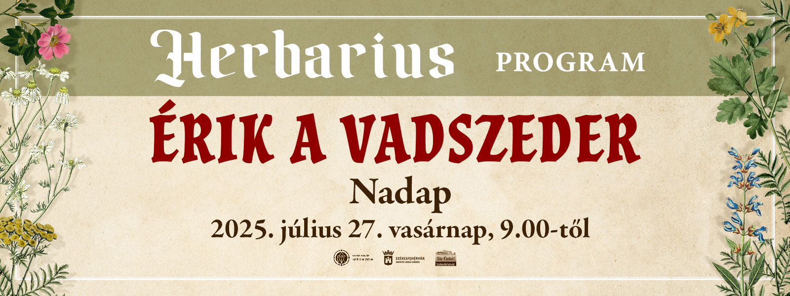 Érik a vadszeder – gyógynövénygyűjtő túra