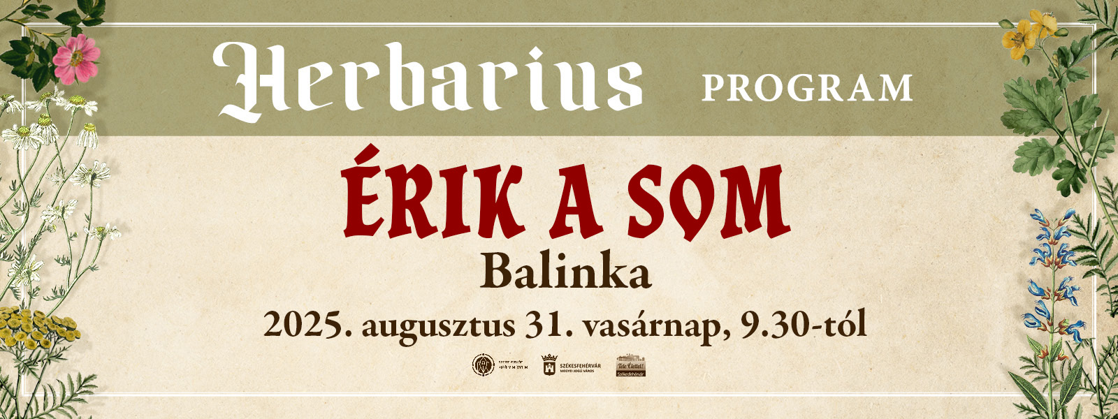 Érik a som – gyógynövénygyűjtő túra
