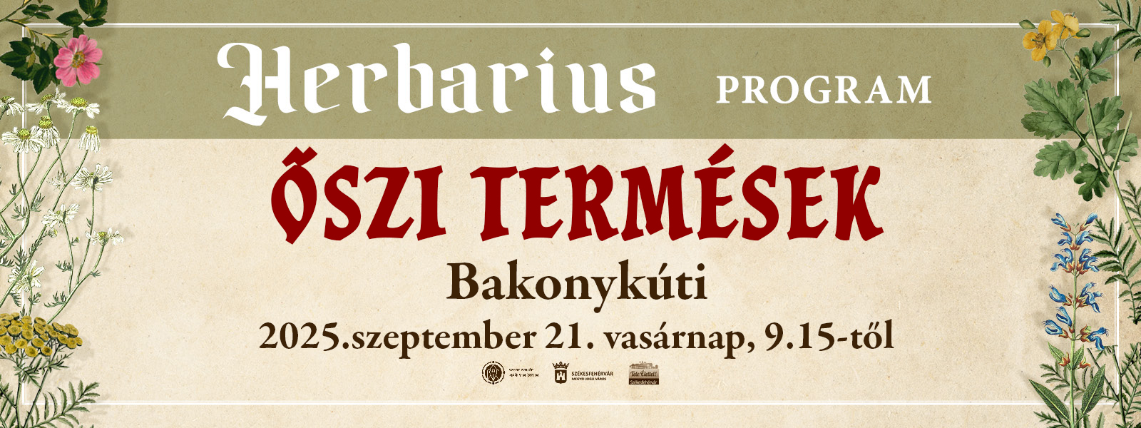 Őszi termések – gyógynövénygyűjtő túra