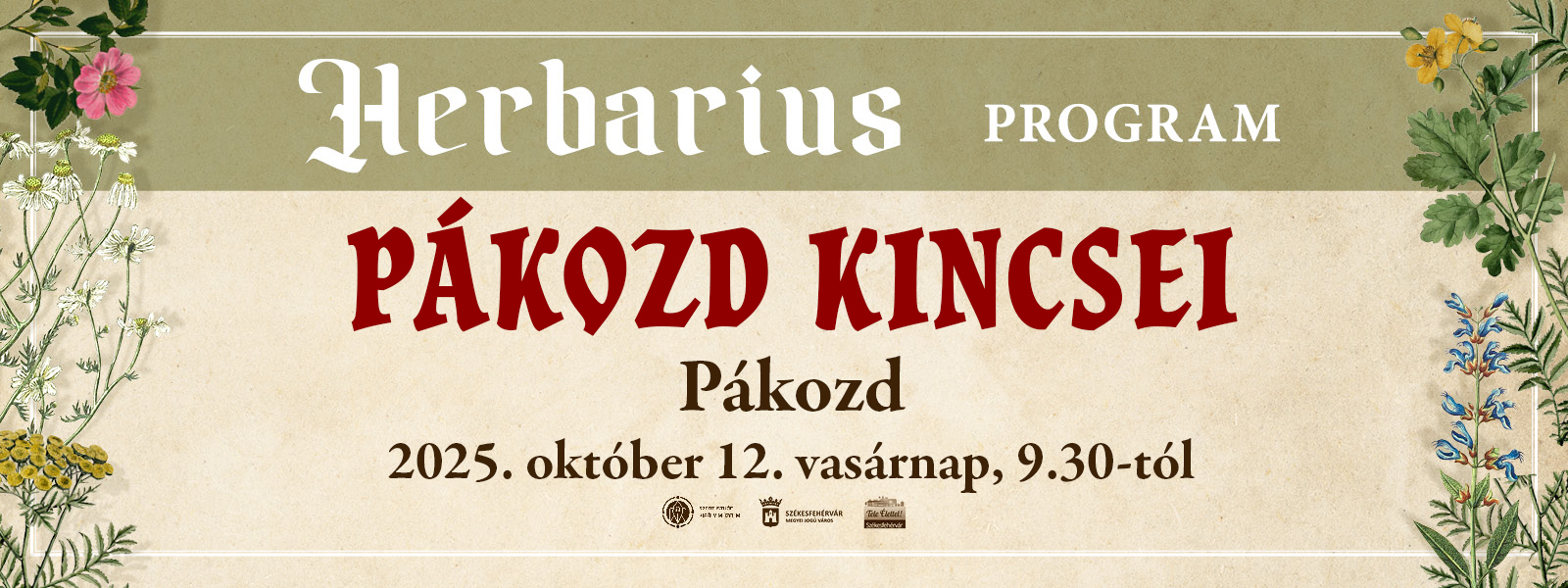 Pákozd kincsei – gyógynövénygyűjtő túra