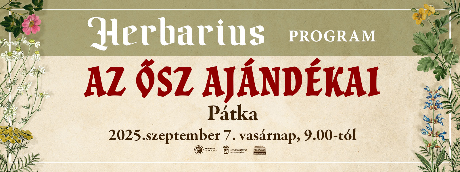 Az ősz ajándékai – gyógynövénygyűjtő túra