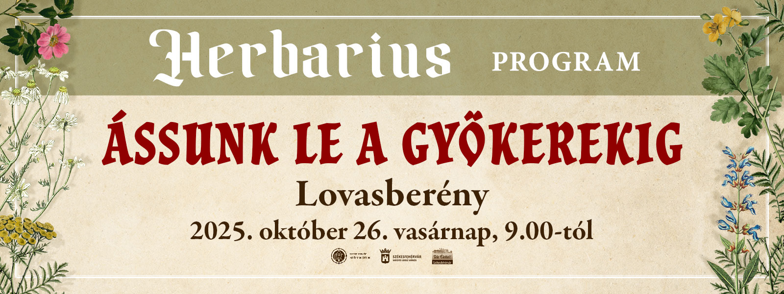 Ássunk le a gyökerekig – gyógynövénygyűjtő túra