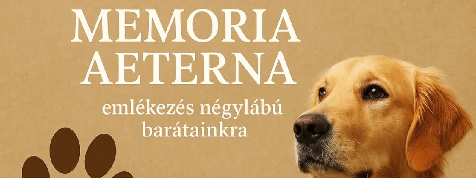 Ősi nyomokon – Memoria Aetherna